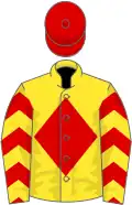 Yellow, red diamond, chevrons on sleeves, red cap