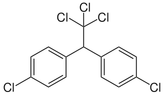 Chemical structure of DDT