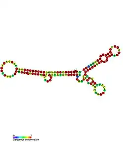 P18: Secondary structure taken from the Rfam database. Family RF01671