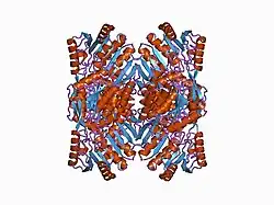 1ag8: ALDEHYDE DEHYDROGENASE FROM BOVINE MITOCHONDRIA