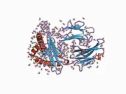 1agf: ANTAGONIST HIV-1 GAG PEPTIDES INDUCE STRUCTURAL CHANGES IN HLA B8-HIV-1 GAG PEPTIDE (GGKKRYKL-5R MUTATION)