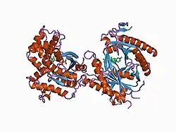1azs: COMPLEX OF GS-ALPHA WITH THE CATALYTIC DOMAINS OF MAMMALIAN ADENYLYL CYCLASE