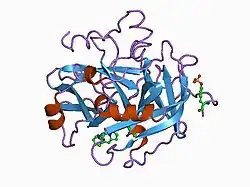 1b5g: HUMAN THROMBIN COMPLEXED WITH NOVEL SYNTHETIC PEPTIDE MIMETIC INHIBITOR AND HIRUGEN