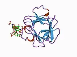 1bfb: BASIC FIBROBLAST GROWTH FACTOR COMPLEXED WITH HEPARIN TETRAMER FRAGMENT