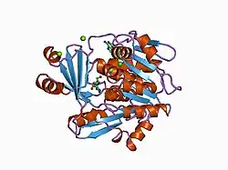 1bx4: STRUCTURE OF HUMAN ADENOSINE KINASE AT 1.50 ANGSTROMS