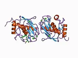 1c3i: HUMAN STROMELYSIN-1 CATALYTIC DOMAIN COMPLEXED WITH RO-26-2812