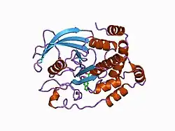 1c83: CRYSTAL STRUCTURE OF PROTEIN TYROSINE PHOSPHATASE 1B COMPLEXED WITH 6-(OXALYL-AMINO)-1H-INDOLE-5-CARBOXYLIC ACID