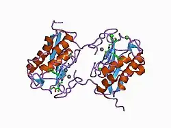 1c8t: HUMAN STROMELYSIN-1 (E202Q) CATALYTIC DOMAIN COMPLEXED WITH RO-26-2812