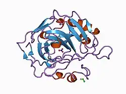1can: CRYSTALLOGRAPHIC STUDIES OF THE BINDING OF PROTONATED AND UNPROTONATED INHIBITORS TO CARBONIC ANHYDRASE USING HYDROGEN SULPHIDE AND NITRATE ANIONS