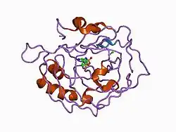 1cim: THE POSITIONS OF HIS-64 AND A BOUND WATER IN HUMAN CARBONIC ANHYDRASE II UPON BINDING THREE STRUCTURALLY RELATED INHIBITORS
