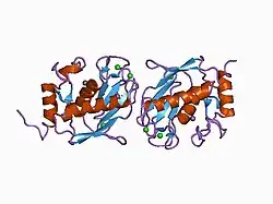 1cqr: CRYSTAL STRUCTURE OF THE STROMELYSIN CATALYTIC DOMAIN AT 2.0 A RESOLUTION