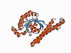 1cxz: CRYSTAL STRUCTURE OF HUMAN RHOA COMPLEXED WITH THE EFFECTOR DOMAIN OF THE PROTEIN KINASE PKN/PRK1
