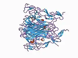 1d0g: CRYSTAL STRUCTURE OF DEATH RECEPTOR 5 (DR5) BOUND TO APO2L/TRAIL
