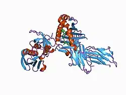 1d5x: X-RAY CRYSTAL STRUCTURE OF HLA-DR4 COMPLEXED WITH DIPEPTIDE MIMETIC AND SEB