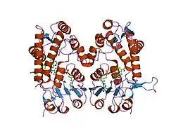 1dia: HUMAN METHYLENETETRAHYDROFOLATE DEHYDROGENASE / CYCLOHYDROLASE COMPLEXED WITH NADP AND INHIBITOR LY249543