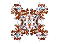 1efl: HUMAN MALIC ENZYME IN A QUATERNARY COMPLEX WITH NAD, MG, AND TARTRONATE