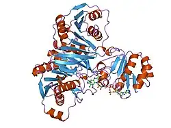 1efv: THREE-DIMENSIONAL STRUCTURE OF HUMAN ELECTRON TRANSFER FLAVOPROTEIN TO 2.1 A RESOLUTION