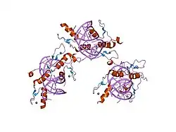 1f2i: COCRYSTAL STRUCTURE OF SELECTED ZINC FINGER DIMER BOUND TO DNA