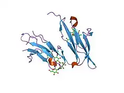 1f2q: CRYSTAL STRUCTURE OF THE HUMAN HIGH-AFFINITY IGE RECEPTOR