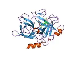 1f92: UROKINASE PLASMINOGEN ACTIVATOR B CHAIN-UKI-1D COMPLEX