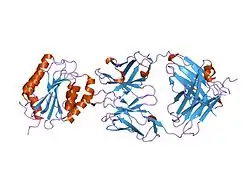 1fns: CRYSTAL STRUCTURE OF THE VON WILLEBRAND FACTOR (VWF) A1 DOMAIN I546V MUTANT IN COMPLEX WITH THE FUNCTION BLOCKING FAB NMC4