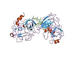 1fq3: CRYSTAL STRUCTURE OF HUMAN GRANZYME B