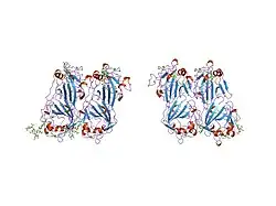 1fzd: STRUCTURE OF RECOMBINANT ALPHAEC DOMAIN FROM HUMAN FIBRINOGEN-420