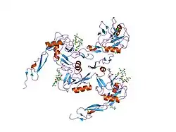 1g1r: Crystal structure of P-selectin lectin/EGF domains complexed with SLeX