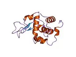 1ge3: CRYSTAL STRUCTURE OF MUTANT HUMAN LYSOZYME SUBSTITUTED AT LEFT-HANDED HELICAL POSITIONS