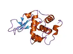 1gfg: CRYSTAL STRUCTURE OF MUTANT HUMAN LYSOZYME SUBSTITUTED AT THE SURFACE POSITIONS