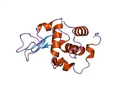 1gfv: CRYSTAL STRUCTURE OF MUTANT HUMAN LYSOZYME SUBSTITUTED AT THE SURFACE POSITIONS