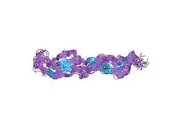 1gkg: STRUCTURE DETERMINATION AND RATIONAL MUTAGENESIS REVEAL BINDING SURFACE OF IMMUNE ADHERENCE RECEPTOR, CR1 (CD35)