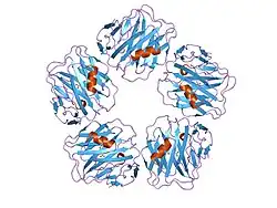 1gyk: SERUM AMYLOID P COMPONENT CO-CRYSTALLISED WITH MOBDG AT NEUTRAL PH