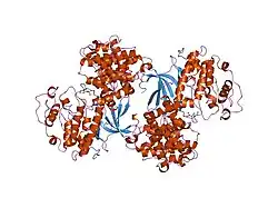 1h28: CDK2/CYCLIN A IN COMPLEX WITH AN 11-RESIDUE RECRUITMENT PEPTIDE FROM P107