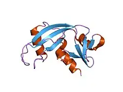 1h52: BINDING OF PHOSPHATE AND PYROPHOSPHATE IONS AT THE ACTIVE SITE OF HUMAN ANGIOGENIN AS REVEALED BY X-RAY CRYSTALLOGRAPHY