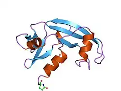 1hby: BINDING OF PHOSPHATE AND PYROPHOSPHATE IONS AT THE ACTIVE SITE OF HUMAN ANGIOGENIN AS REVEALED BY X-RAY CRYSTALLOGRAPHY