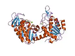 1hdi: PIG MUSCLE 3-PHOSPHOGLYCERATE KINASE COMPLEXED WITH 3-PG AND MGADP.