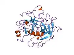 1hxe: SERINE PROTEASE