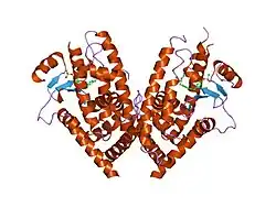 1i7i: CRYSTAL STRUCTURE OF THE LIGAND BINDING DOMAIN OF HUMAN PPAR-GAMMA IN COMPLEX WITH THE AGONIST AZ 242