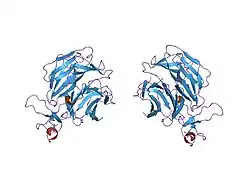 1ijq: Crystal Structure of the LDL Receptor YWTD-EGF Domain Pair
