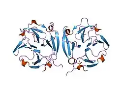 1itv: Dimeric form of the haemopexin domain of MMP9