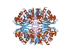 1j0x: Crystal structure of the rabbit muscle glyceraldehyde-3-phosphate dehydrogenase (GAPDH)