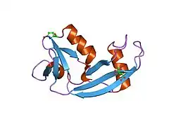 1k5b: Crystal Structure of Human Angiogenin Variant des(121-123)