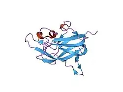 1kex: Crystal Structure of the b1 Domain of Human Neuropilin-1