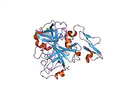 1kli: Cofactor-and substrate-assisted activation of factor VIIa