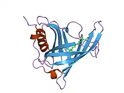 1kt5: Crystal structure of bovine holo-RBP at pH 4.0