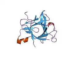 1l2h: Crystal structure of Interleukin 1-beta F42W/W120F mutant