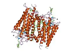1l9h: Crystal structure of bovine rhodopsin at 2.6 angstroms RESOLUTION