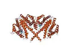 1m7w: HNF4a ligand binding domain with bound fatty acid