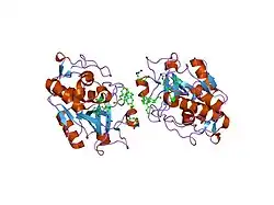 1mhw: Design of non-covalent inhibitors of human cathepsin L. From the 96-residue proregion to optimized tripeptides